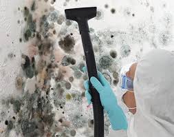 Forensic Mold Investigation in Mountain Lakes, NJ